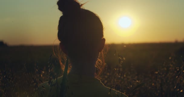 Tilbage portræt af pige med bolle beder alene udendørs ser på gyldne nedgående sol. Ugenkendelig kvinde stående i aften felt holder fælles hænder håndholdt enhed. Meditations koncentration – Stock-video