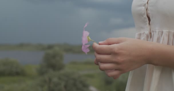 Close-up zijaanzicht van vrouwelijke handen houden wilde bloem trillen op wind op gedefocuste achtergrond. Gezichtloze vrouw streelt kwetsbare plant buiten op de natuur slow motion. Ecologie van de vrije gezondheidszorg — Stockvideo