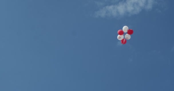 MINSK, BELARUS - 16. AUGUST 2020: Weiß-rot-weiße Luftballons mit Slogans zur Unterstützung der neuen weißrussischen Präsidentin Swetlana Tichanowskaja fliegen durch den Himmel. Proteste in Weißrussland — Stockvideo