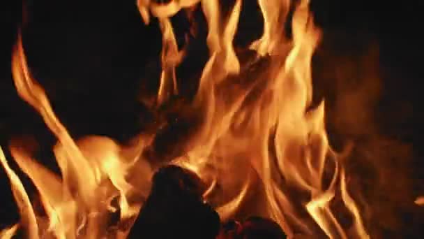 Beweging behang van brandend vuur 's nachts close-up slow motion. Macro shot van kleurrijke oranje vlammen vreugdevuur laaiend op zwarte achtergrond. Ontsteking van de veiligheid. Picknick reis barbecue concept. — Stockvideo