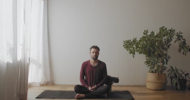 Vista frontal del joven maestro yogui practicando yoga en interiores con gato caminando sobre fondo. Hombre caucásico sentado en sukhasana posan meditando en cámara lenta. Actividades deportivas para el cuidado del cuerpo — Vídeo de stock