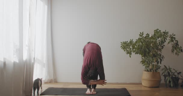 Fit человек, стоящий в uttanasana позе на коврик в помещении естественный свет замедленного движения. Мастер йоги демонстрирует гибкое тело, практикующее йогу в солнечной комнате, копирующее текстовое пространство. Концепция активного здорового образа жизни — стоковое видео