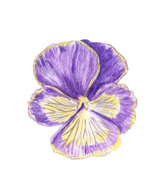 Renkli bir resmi çizimi