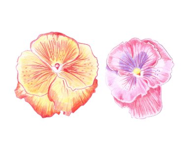 Renkli bir resmi çizimi