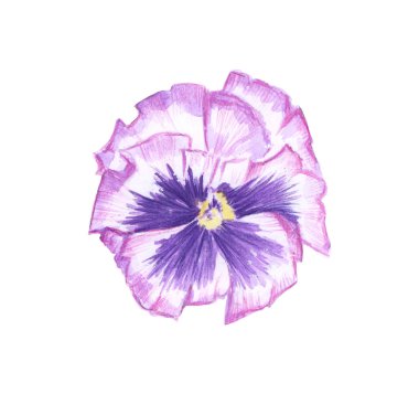 Renkli bir resmi çizimi