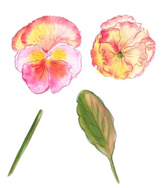 Çizim renk kümesi illüstrasyon