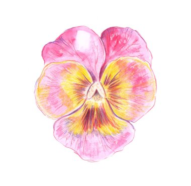 Renkli bir resmi çizimi