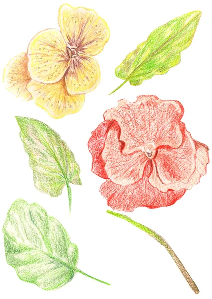 Çizim renk kümesi illüstrasyon