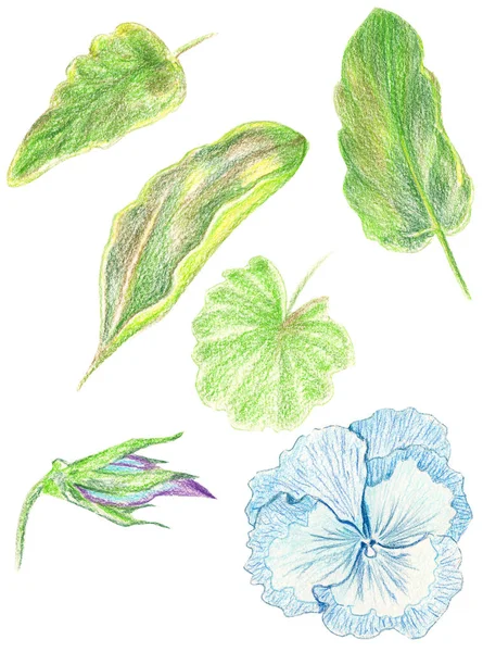 Çizim renk kümesi illüstrasyon