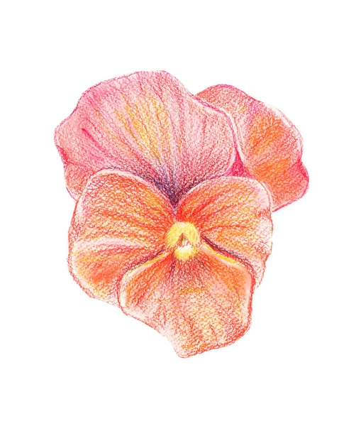 Renkli bir resmi çizimi