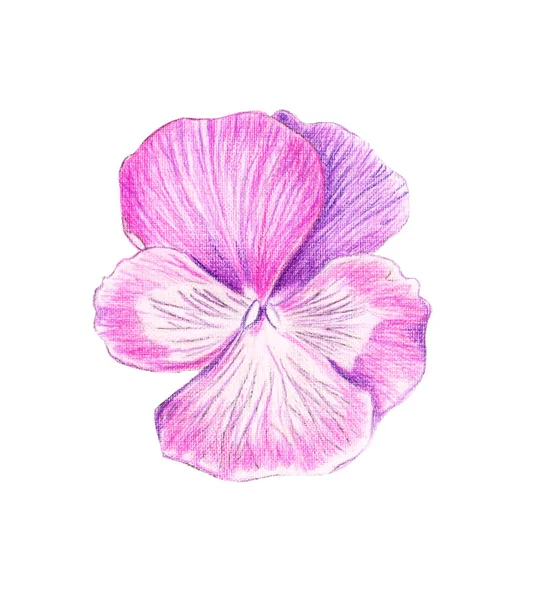 Renkli bir resmi çizimi