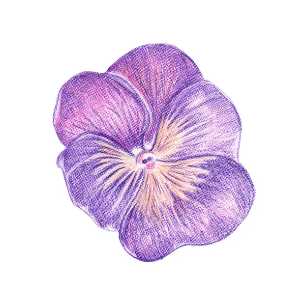 Renkli bir resmi çizimi