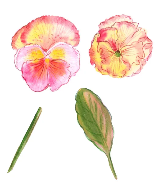 Çizim renk kümesi illüstrasyon