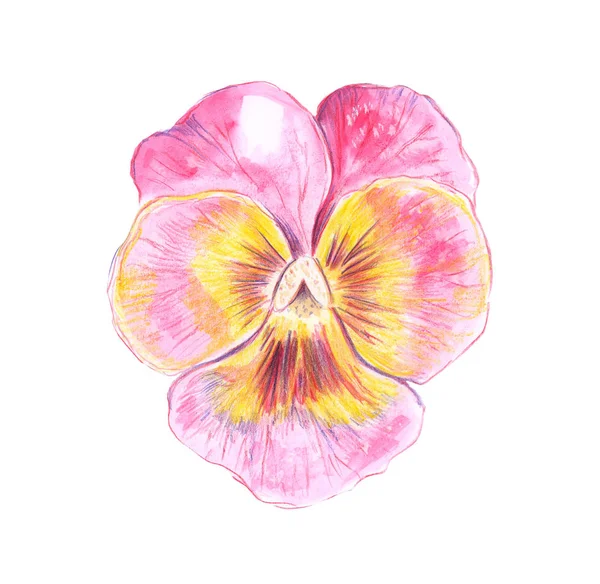 Renkli bir resmi çizimi