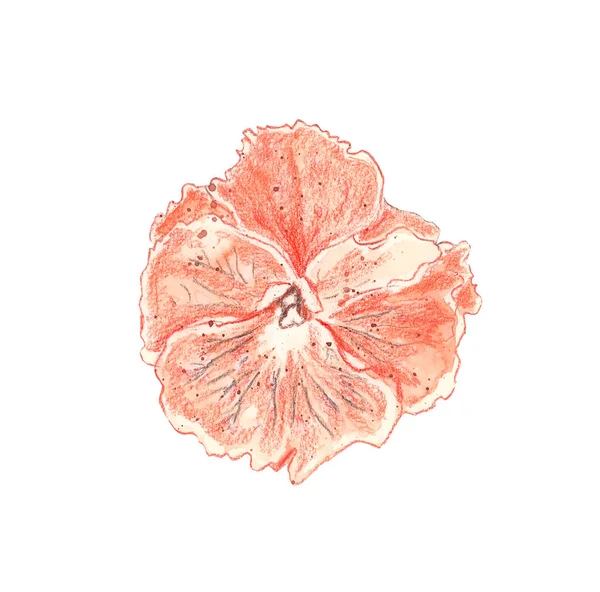 Renkli bir resmi çizimi