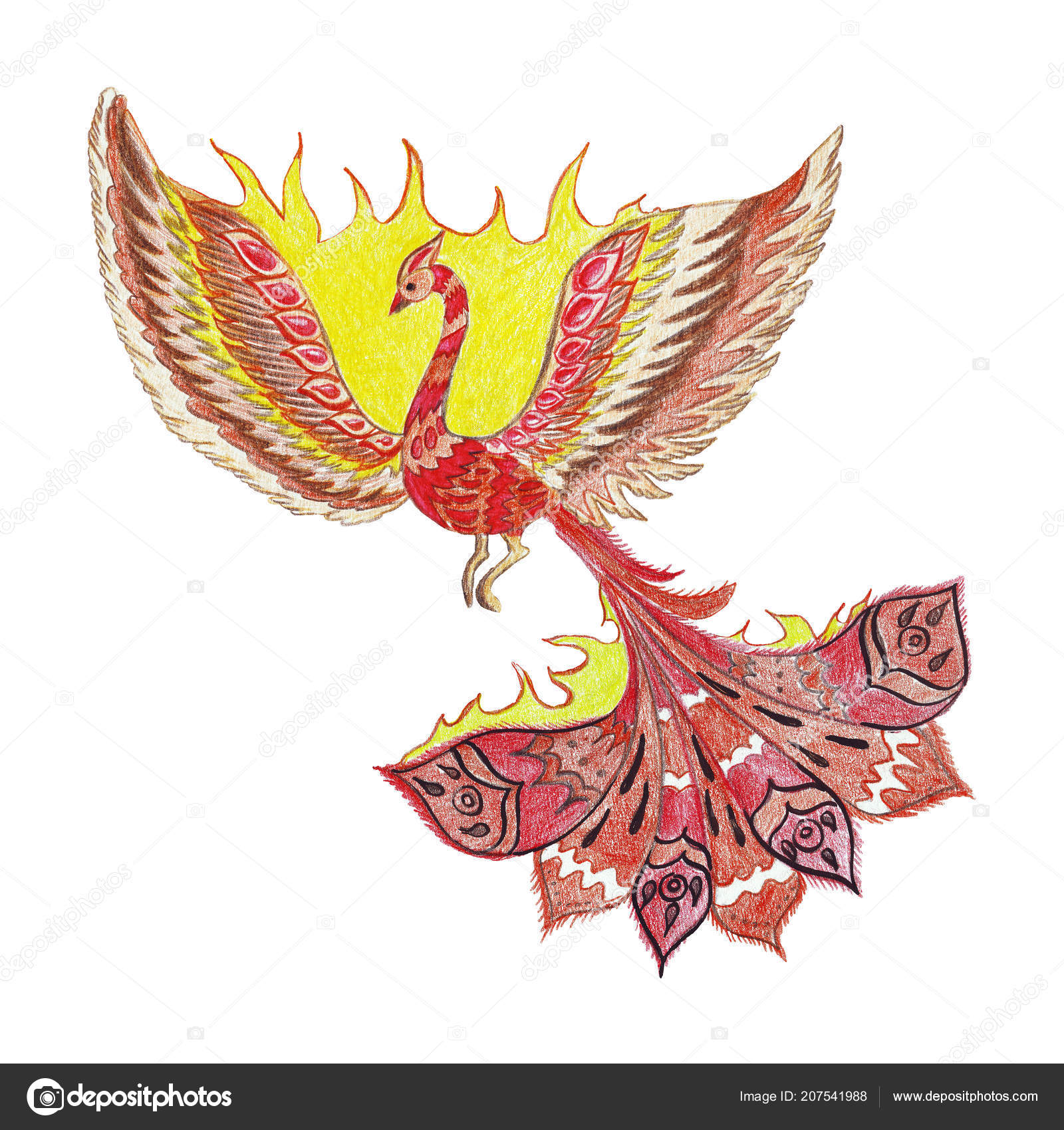 Main Dessin Croquis Crayons Oiseau De Feu Fabuleux