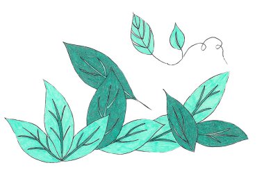 El çizim işaretleri yaprakları bir bitki yeşil dalda