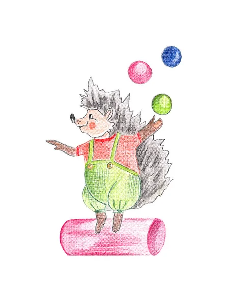 Hand Drawing Watercolor Circus Hedgehog Juggles Balls — Stock Photo, Image