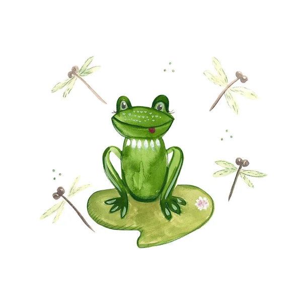 Hand drawing of a watercolor green frog on a water isolated on white