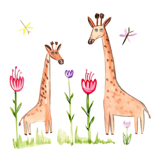 Hand drawing of a watercolor giraffes mother and son
