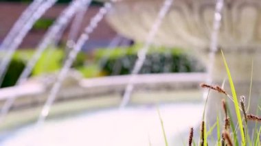 eski çeşme Park'ta gündüz görünümü 