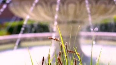 eski çeşme Park'ta gündüz görünümü 