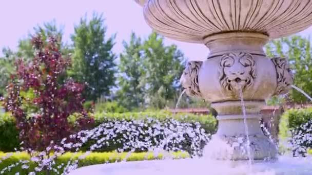 Daytime View Old Fountain Park — Stock Video