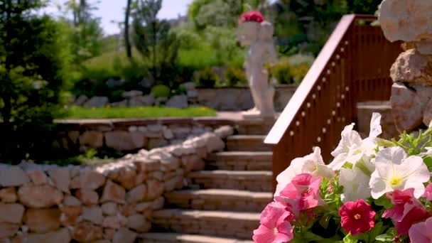 Fleurs Florissantes Parc Pendant Journée — Video