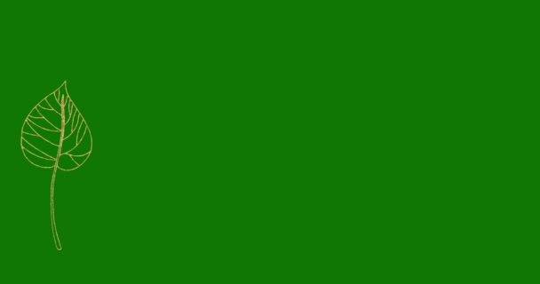 Verschillende Eenvoudige Objecten Groene Achtergrond — Stockvideo