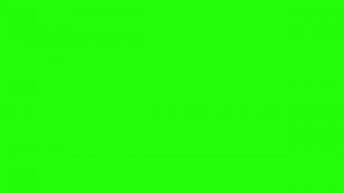 yeşil zemin üzerine çeşitli basit nesneleri