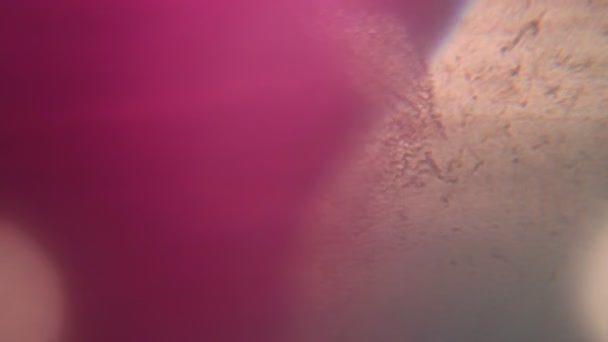 séquences abstraites colorées sur fond sombre 