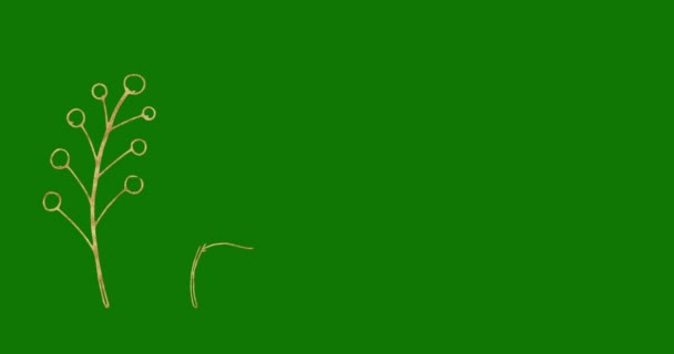 Verschiedene Einfache Objekte Auf Grünem Hintergrund — Stockvideo