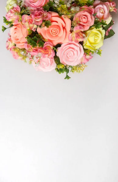 白い背景に着色されたバラ — ストック写真