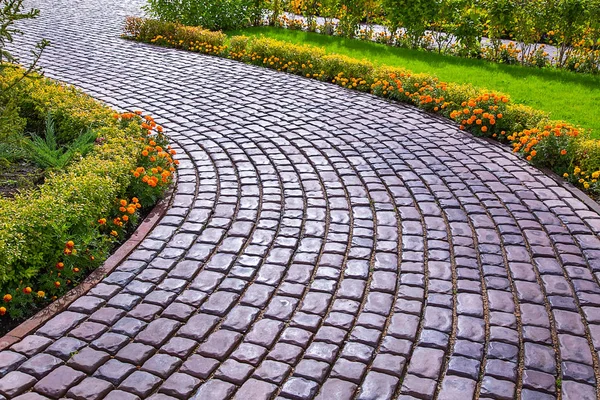 Dagtid Utsikt Över Kullerstensbelagda Vägen Vid Parken — Stockfoto