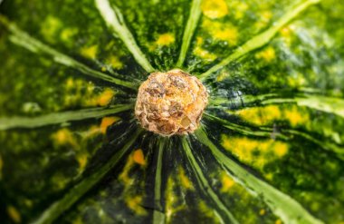 Beyaz arka planda ham taze papaya
