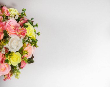 beyaz arka planda renkli güller 