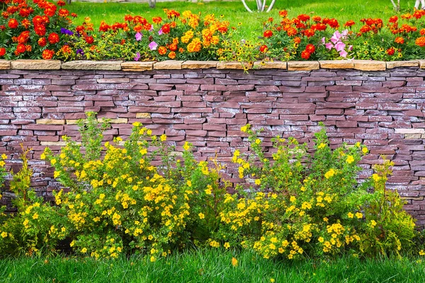 Photo Mur Briques Parmi Les Fleurs Les Plantes Rouges Jaunes — Photo