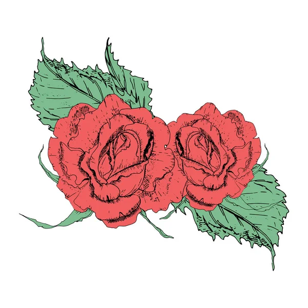 Vektorillustration in Form von Rosen und Blättern unterschiedlicher Form auf weißem Hintergrund. Rote Rosen und grüne Blätter kritzeln Zeichnung. — Stockvektor