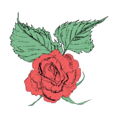 Vektör Illustration güller çiçekler ve beyaz bir arka planda farklı şekiller yaprakları şeklinde. Kırmızı güller ve yaprakları Doodle çizim.