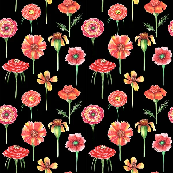 Verschiedene Blumen Auf Farbigem Hintergrund — Stockfoto