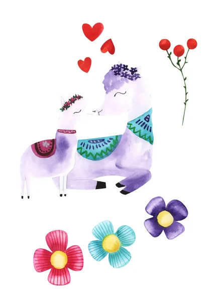 Ilustracja Rysunek Kolorowy Akwarela Zwierzę Alpaca Wśród Kwiatów Roślin Białym — Zdjęcie stockowe