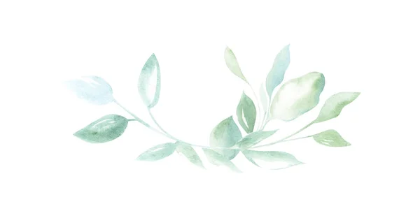 Illustratie Van Aquarel Tekenen Van Decoratieve Elementen Van Groene Planten — Stockfoto