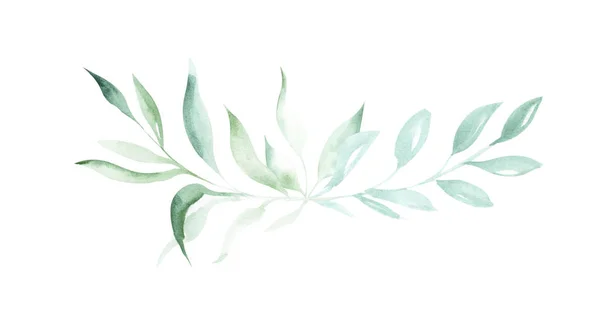 Illustration Akvarell Ritning Dekorativa Element Gröna Växter Och Löv Form — Stockfoto