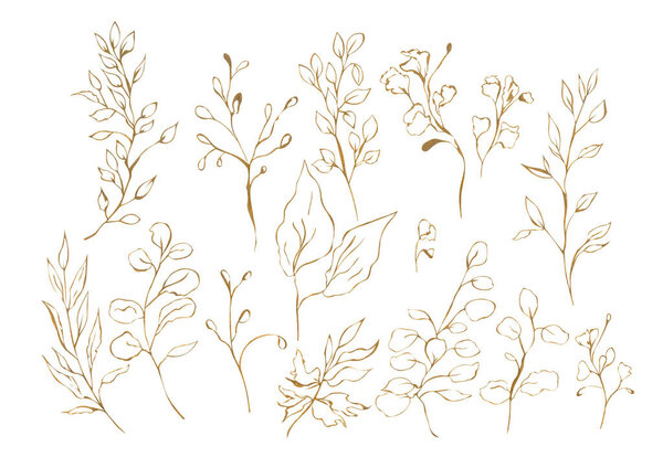 Illustration of a watercolor drawing of a botanical set of plants from brown or gold leaves, and twigs in the form of contours on an isolated white background