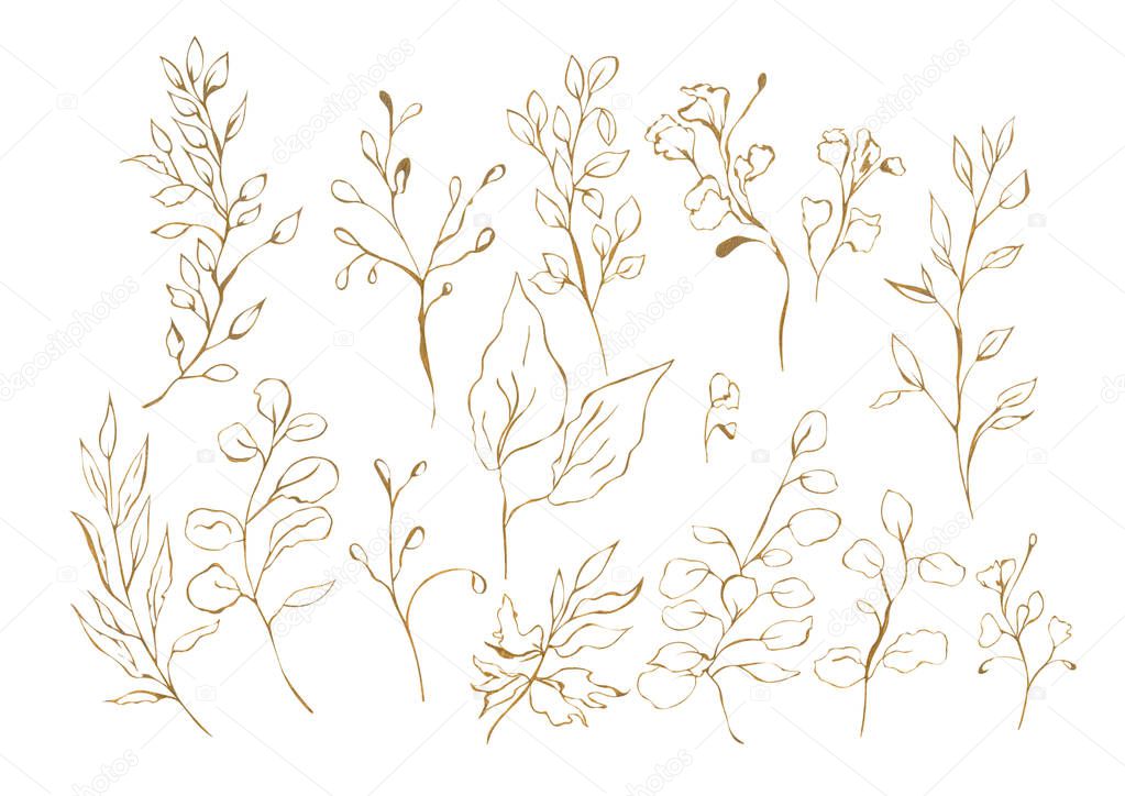 Illustration of a watercolor drawing of a botanical set of plants from brown or gold leaves, and twigs in the form of contours on an isolated white background