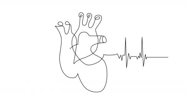 Disegno astratto con linea di contorno di disegnare la struttura del cuore umano su sfondi . — Video Stock