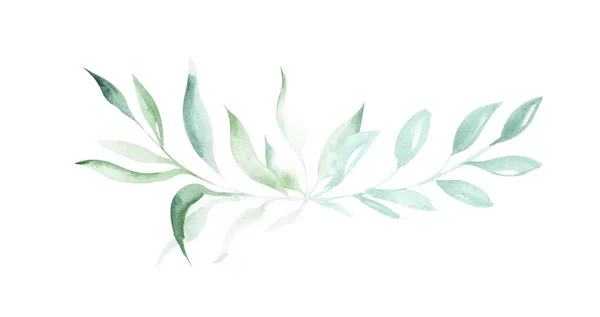 Illustration Watercolor Drawing Decorative Elements Green Plants Leaves Form Frames — Stock Photo, Image