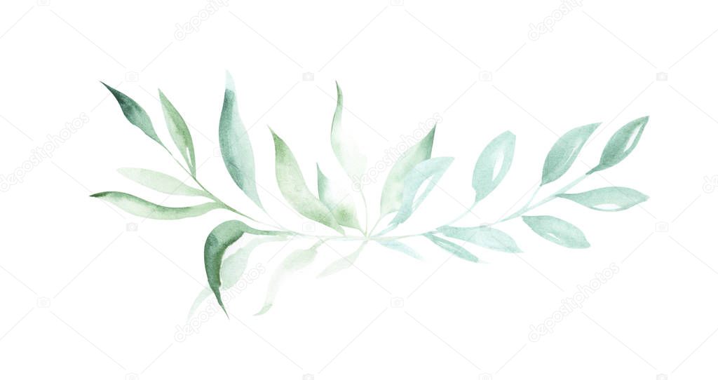 Illustration of watercolor drawing decorative elements of green plants and leaves in the form of frames on an isolated white background.