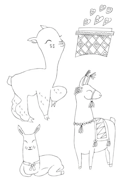 Illustration Black Ink Drawing Animal Alpaca Flowers Plants Isolated White — Stock Photo, Image