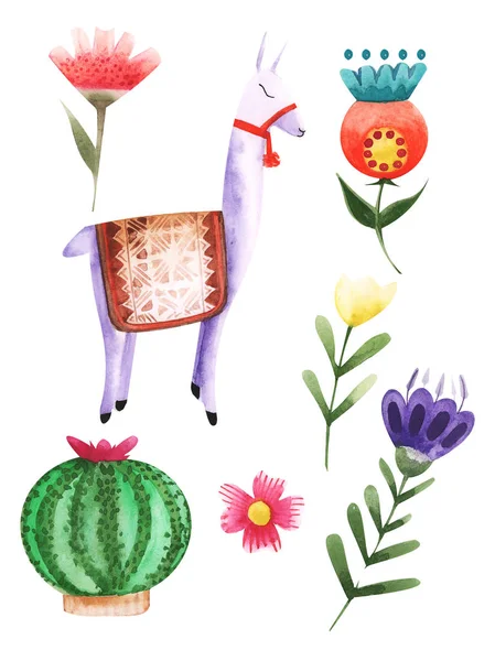 在隔离背景下在花卉和植物中绘制彩色水彩动物羊驼的插图 — 图库照片